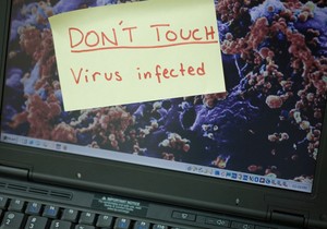 Virus