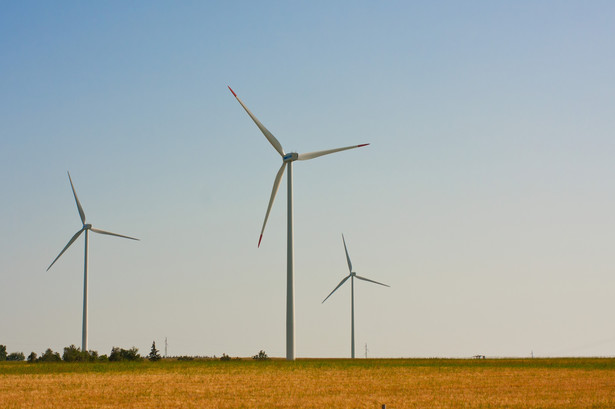 Elektrownia wiatrowa. fot. Shutterstock