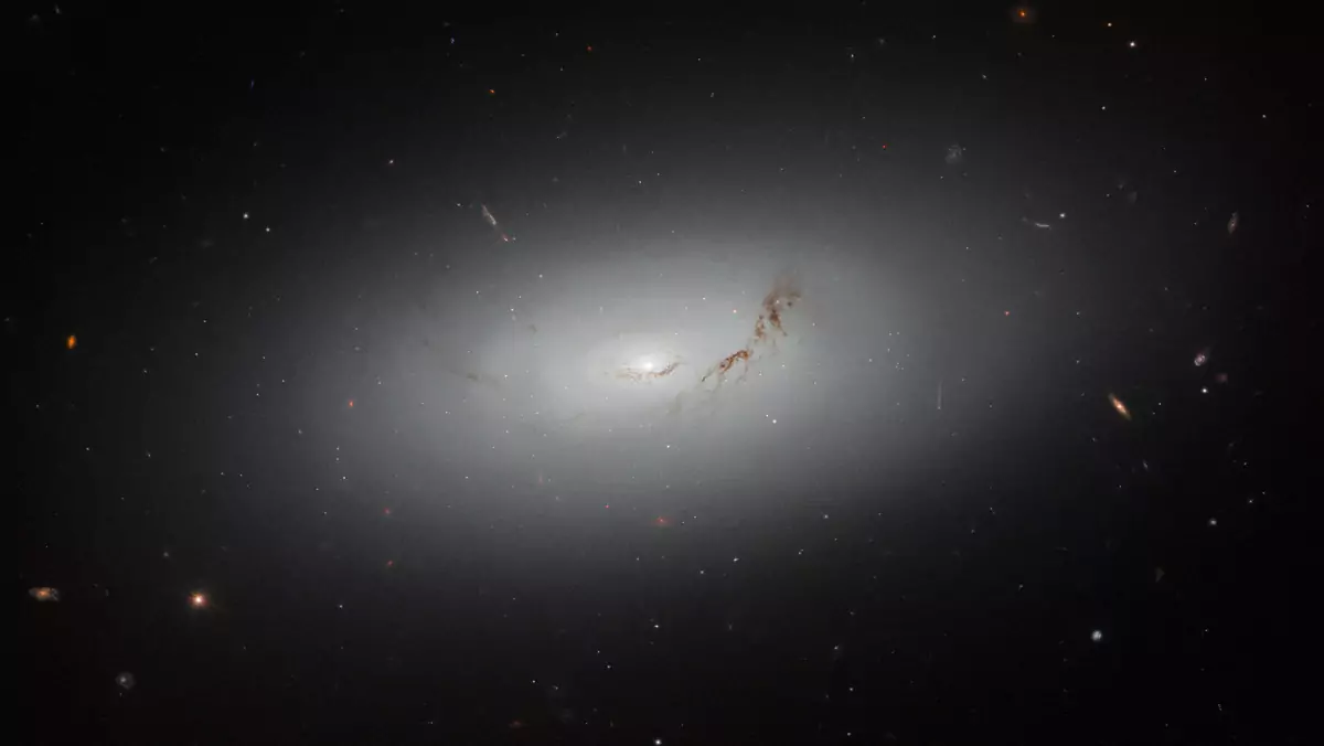 Galaktyka soczewkowata NGC 3156