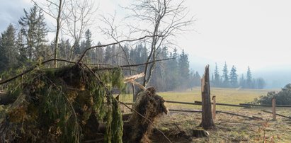 Wyszli z dziećmi na spacer podczas wichury w Tatrach