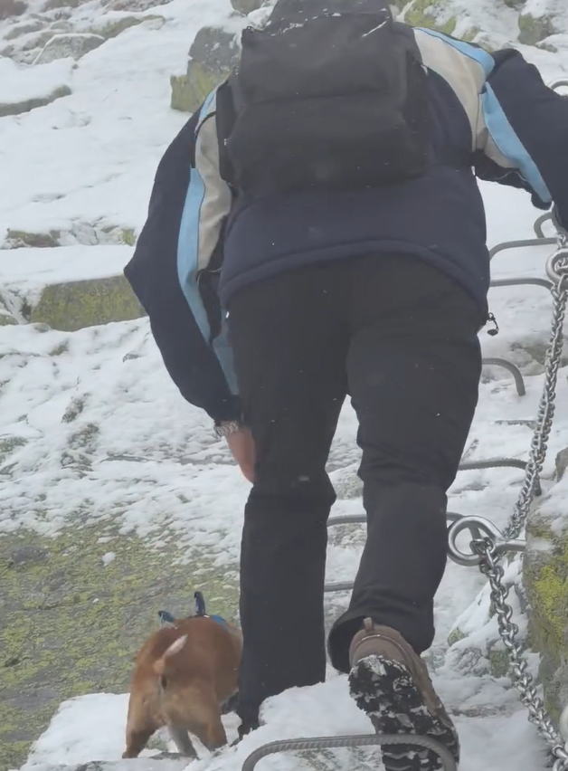 Nepochopiteľné rozhodnutie turistu rozhnevalo verejnosť.