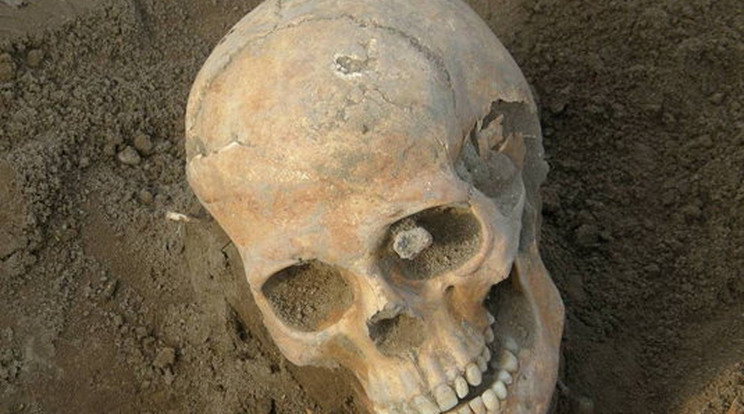 Majdnem tízezer éves, erősen deformált női koponyát találtak Mexikóban/ Fotó: Budapesti Történeti Múzeum