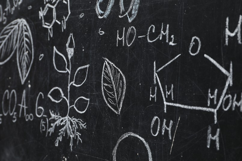 W tym quizie zadajemy proste pytania z biologii. Niektóre pojawiły się na maturze z tego przedmiotu