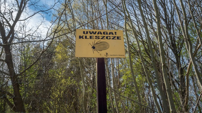 Nie wszystko, co "wiemy" o kleszczach, jest prawdą