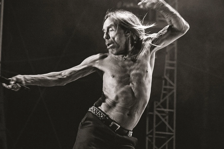 Piwa Palikota i Wojewódzkiego mają wpisywać się w długą historię buntu,którego muzyka punkowa i Iggy Pop są ikoną