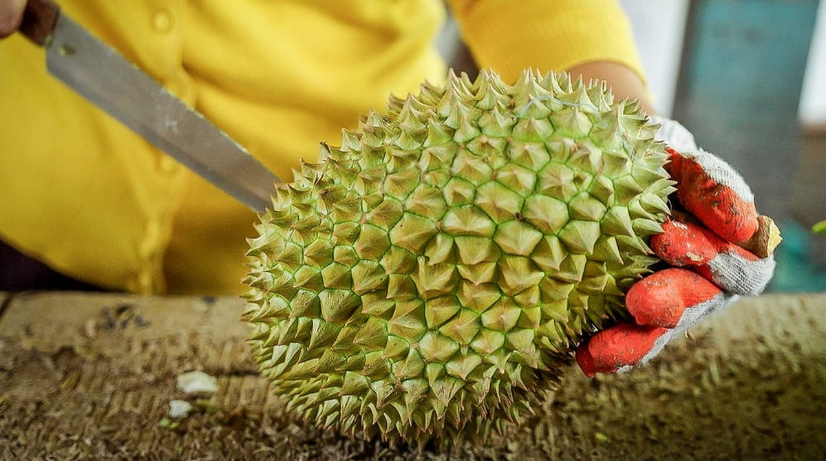 Najdroższy durian sprzedany na aukcji za 190 tys. zł. Co to za owoc?