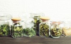 5 ziół do ogrodu idealnych do suszenia i korzystania przez cały rok