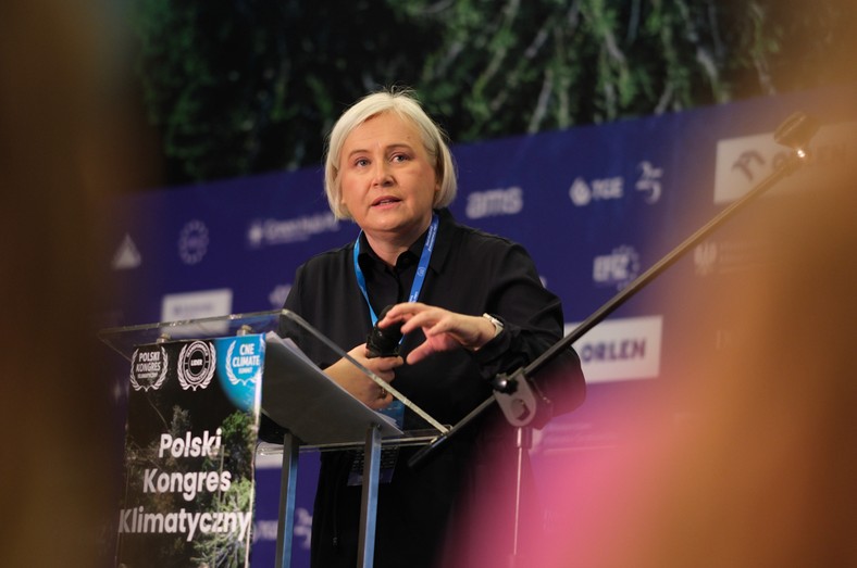 Marzena Czarnecka, Ministra Przemysłu