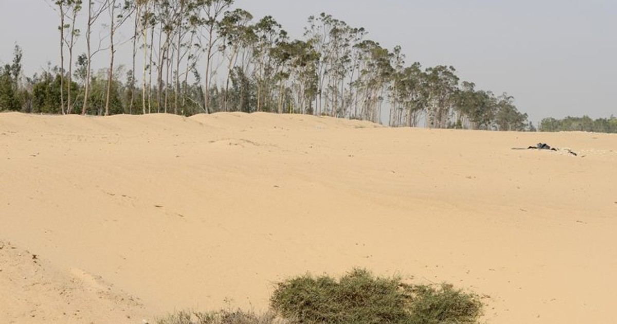 Africa's Forests - 10 Countries With The Smallest Forest Area