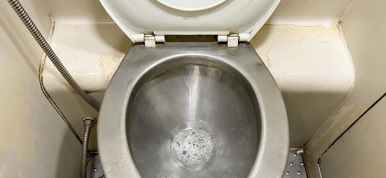 Ogromna afera. Minister wskazał, kto zamiast imigrantów powinien "czyścić kible"