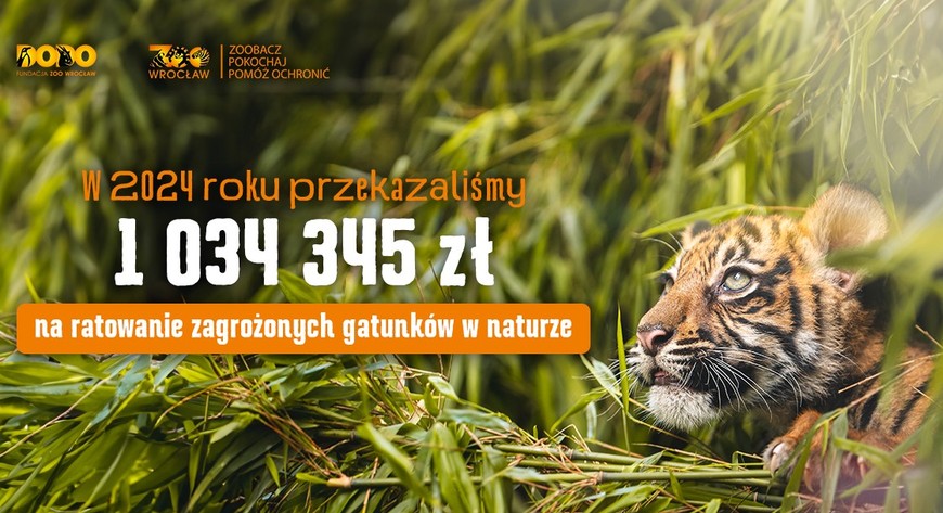 Rekordowe środki trafiły na pomoc dzikim zwierzętom