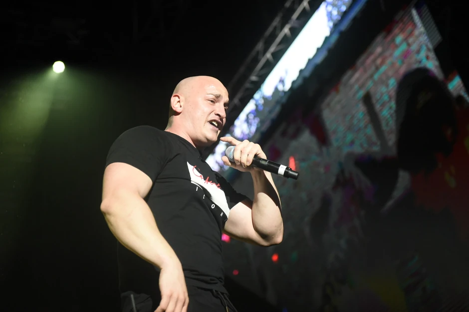 Dragomir Despić Desingerica