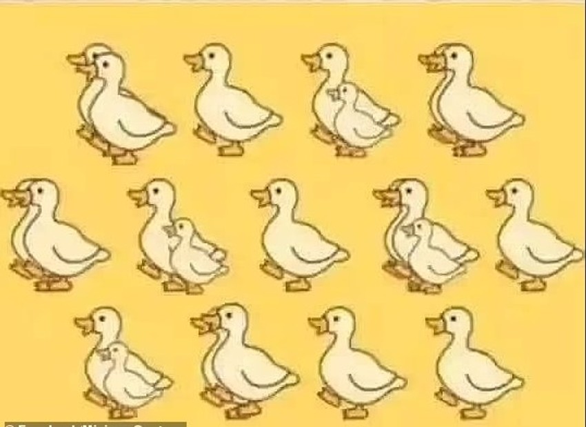 Patke optička iluzija