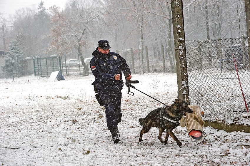 Pas mora da ispuni stroge kriterijume pre dolaska u jedinicu MUP