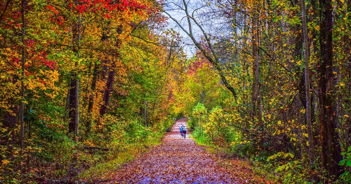 What fall looks like in every state | Business Insider Africa