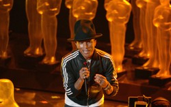 Pharrell Williams w krótkich spodenkach, ale bez Oscara
