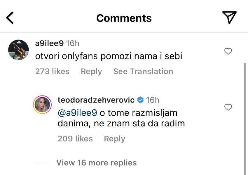 Komentari na slikama Teodore Džehverović