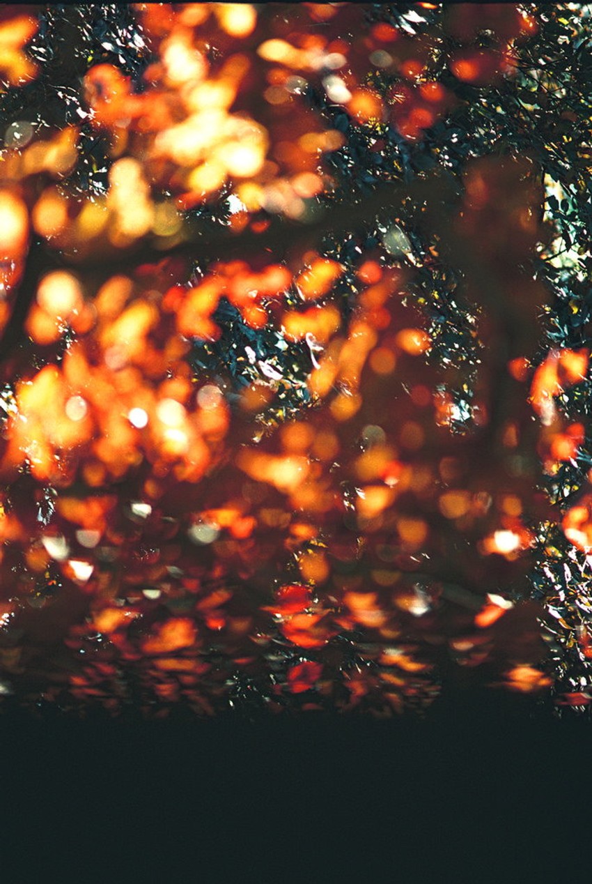 Detalj sa izložbe Petra Jončića