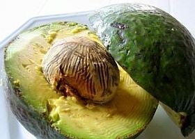 avocado-d0000119F9a1a17584cbc
