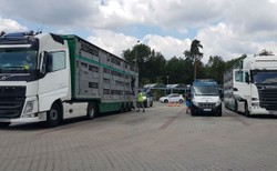 Makabryczny transport ujawniony przez ITD na autostradzie A1