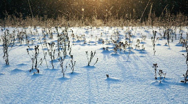 Leeshet az első hó / Illusztráció: Northfoto