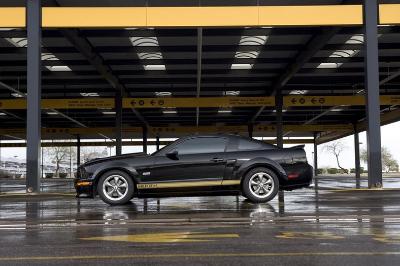 Ford Shelby GT350-H: z wypożyczalni na półki sklepowe