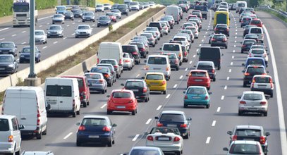 Niebezpieczny trend na autostradach. Dzieci wyszły na drogę, reakcja rodziców zszokowała