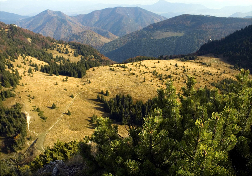 Słowacja - Mala Fatra