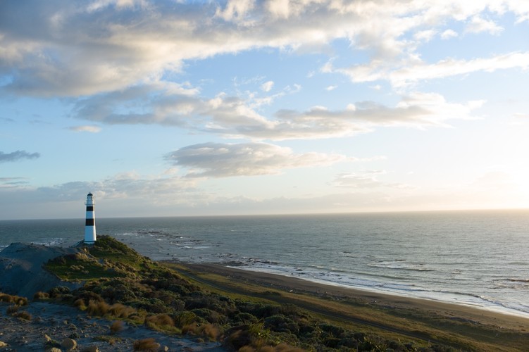 'Światło między ocenami' w kinach od 18 listopada