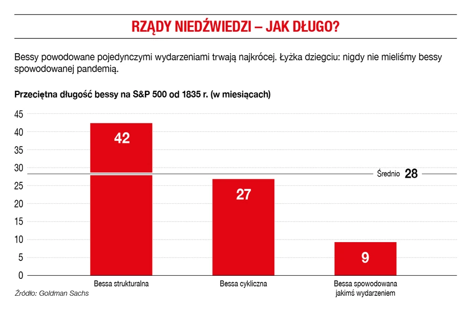 Rządy niedźwiedzi