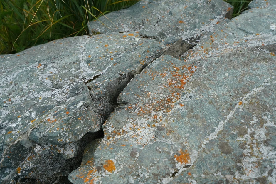 Stene duž reke Čilkut na Aljasci u avgustu 2019.