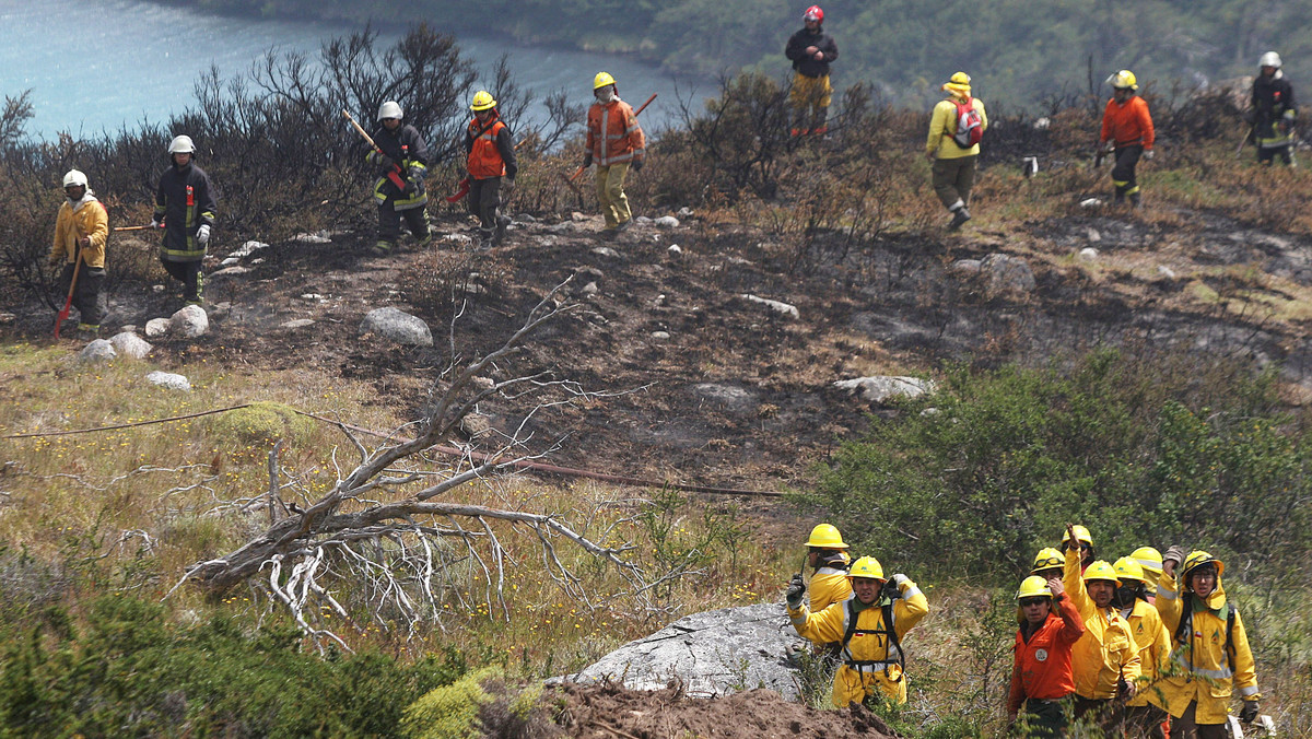 Ponad 40 tysięcy hektarów lasów i łąk spłonęło w pożarach szalejących w środkowej i południowej części Chile - poinformowały lokalne służby ratunkowe. Władze podejrzewają, że ogień podłożono umyślnie. Do walki z żywiołem skierowano setki strażaków.