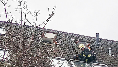 A tetőn akart levegőzni egy tacskó Győrben