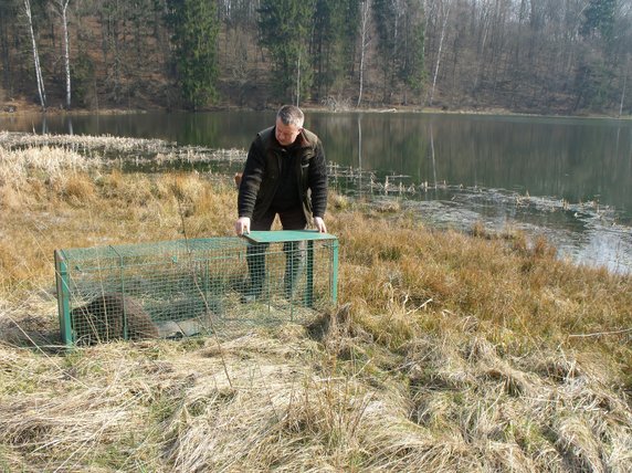 Ośrodek Rehabilitacji Zwierząt w Napromku