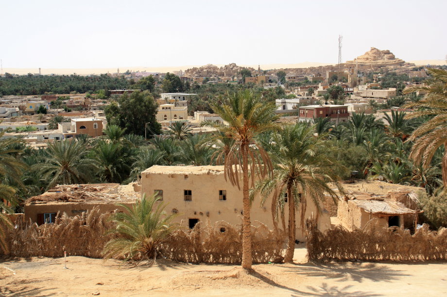Oaza Siwa w Egipcie. W tle widać starożytną fortecę Shali.