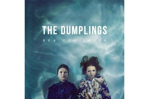 the dumplings