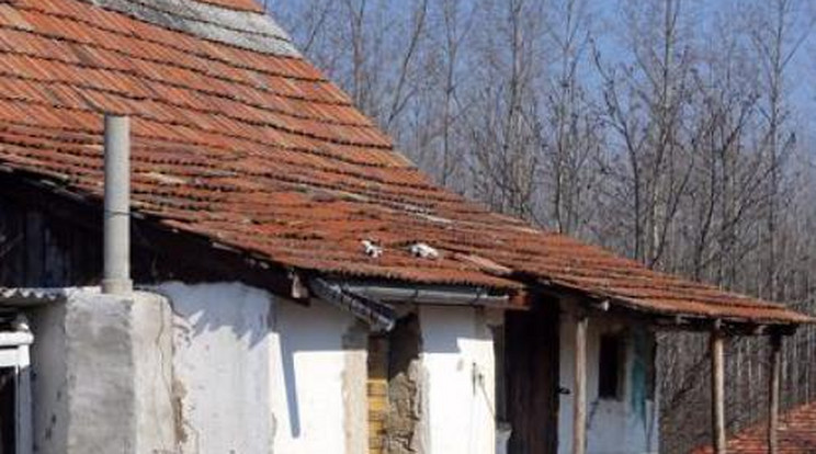 Lelőtte a rendőr - Sokkoló fotók az örkényi helyszínről