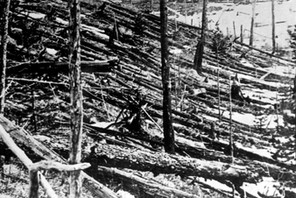 Devastation caused by the Siberian Meteo