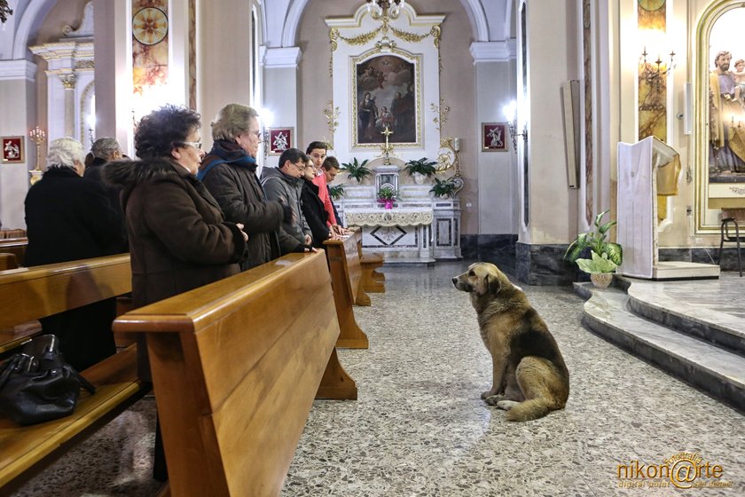 W pogrzebie Marii Margherity Lochi uczestniczył jej wierny pies