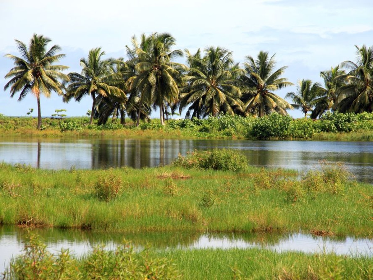 Samoa znajduje się po przeciwnej stronie linii zmiany daty niż jej główni partnerzy handlowi – dawna metropolia Nowa Zelandia oraz Australia