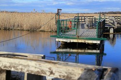 Pozwali Narwiański Park Narodowy. Bo wpadli do wody