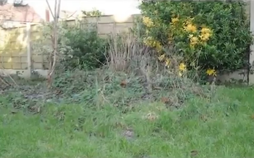 Barbara Kumbz je ubila oca i zakopala njegovo telo u dvorištu