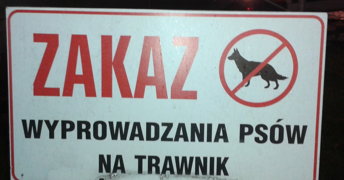 Jak zabronić psom sikać do piaskownicy?