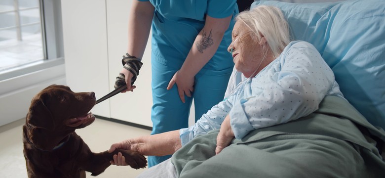 Pacjenci szpitali będą mogli mieć kontakt ze swoim zwierzęciem? Jest taka propozycja