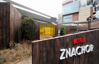 Produkt: Nostalgia. Znachor nie leczy sentymentów