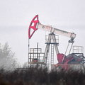 Łukaszenko reaguje na sankcje. Wstrzyma eksport ropy naftowej do Niemiec