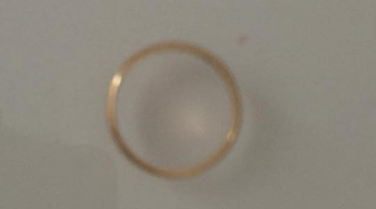 Ezt a vörös­-
arany karikagyűrűt veszítették el