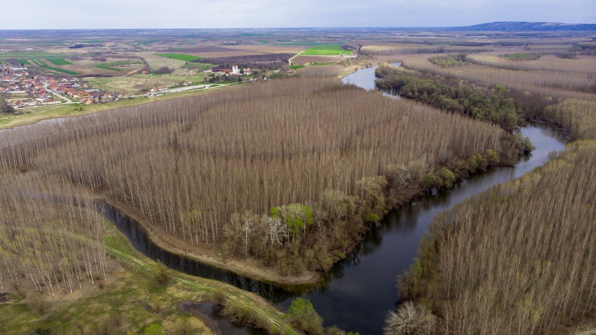 Novi Sad koviljski rit prolece