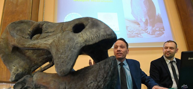 Sensacyjne odkrycie polskich naukowców. Szczątki największego gada ssakokształtnego rzucają nowe światło na erę dinozaurów