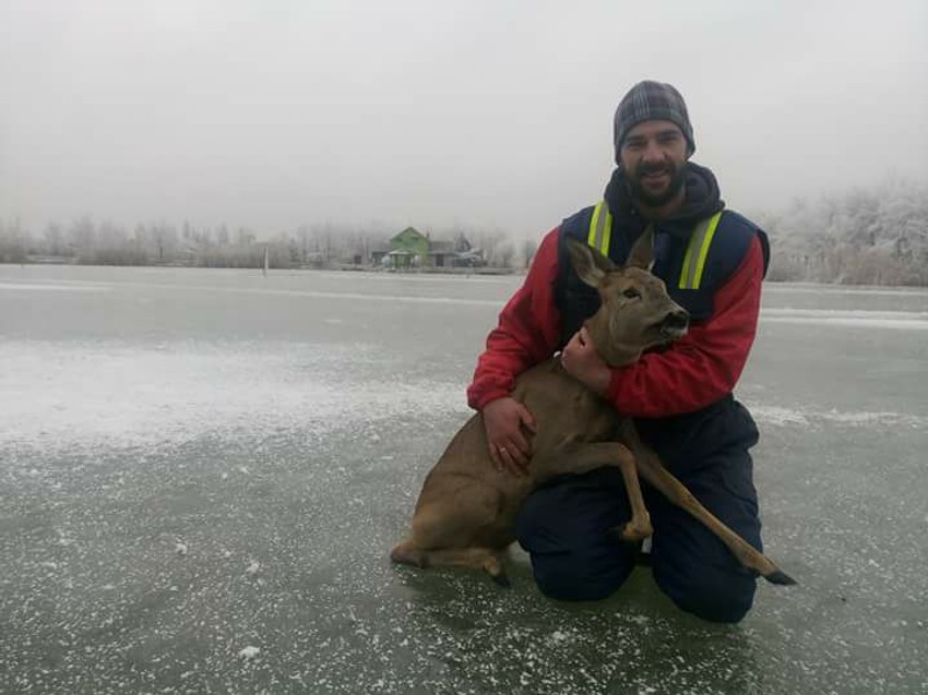 Marko Protić spasio srnu sa zaleđenog jezera